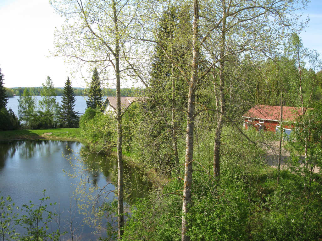 Luontoa kurssikeskus Kopolassa.