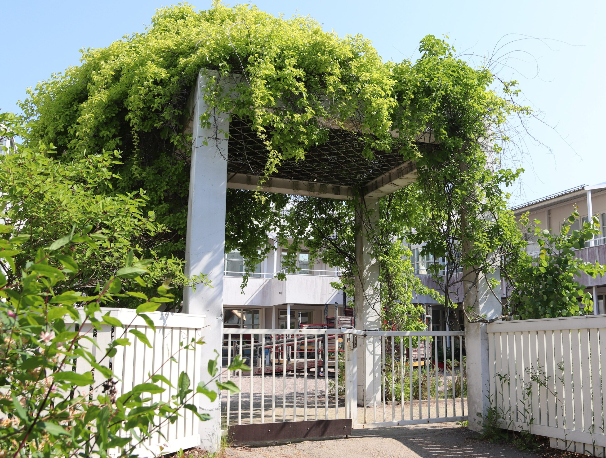 Valkean talon portti, jossa vihreä köynnös.